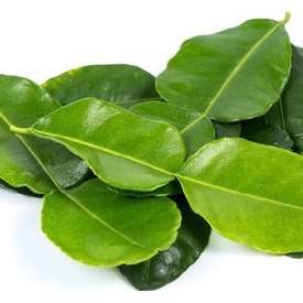 Kaffir Lime Leaf