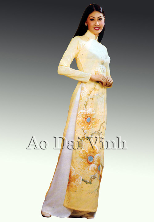 Ao Dai Vinh, custom made Vietnamese traditional ao dai